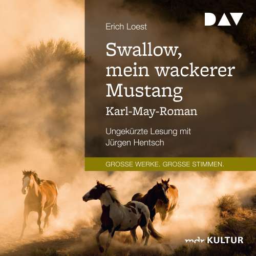 Cover von Erich Loest - Swallow, mein wackerer Mustang