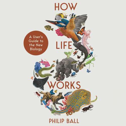 Cover von Philip Ball - How Life Works - A User's Guide to the New Biology