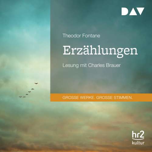 Cover von Theodor Fontane - Erzählungen