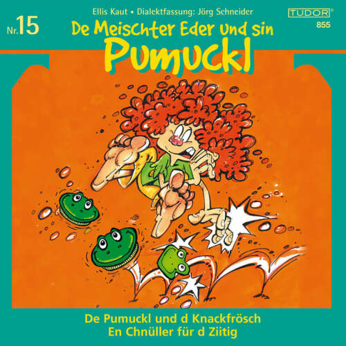Cover von Various Artists - Kaut / Schneider: De Meischter Eder und sin Pumuckl, Vol. 15