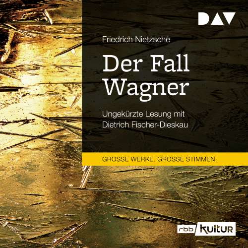 Cover von Friedrich Nietzsche - Der Fall Wagner