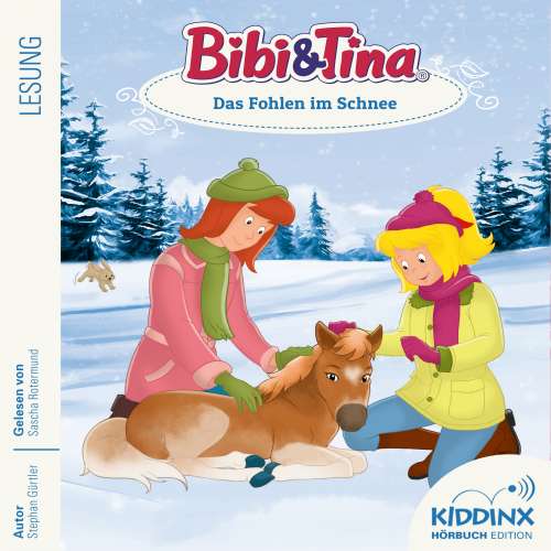Cover von Stephan Gürtler - Bibi & Tina - Hörbuch - Folge 9 - Das Fohlen im Schnee
