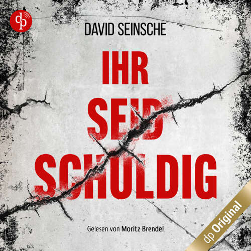 Cover von David Seinsche - Ihr seid schuldig