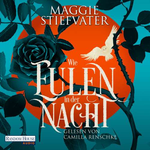 Cover von Maggie Stiefvater - Wie Eulen in der Nacht