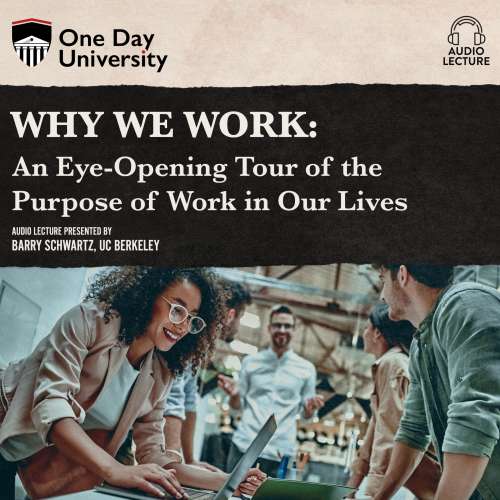 Cover von Barry Schwartz - Why We Work - An Eye-Opening Tour of the Purpose of Work in Our Lives