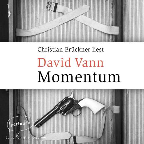 Cover von David Vann - Momentum