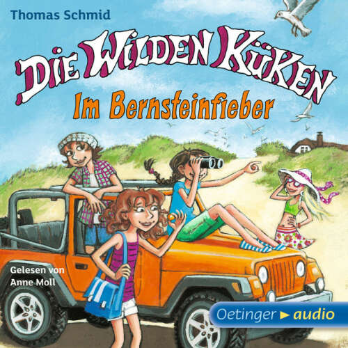 Cover von Thomas Schmid - Die Wilden Küken 9. Im Bernsteinfieber (Gekürzte Lesung)