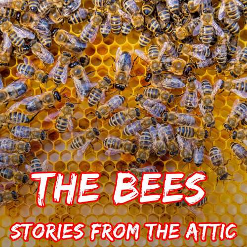 Cover von Stories From The Attic - The Bees - A Short Scary Story