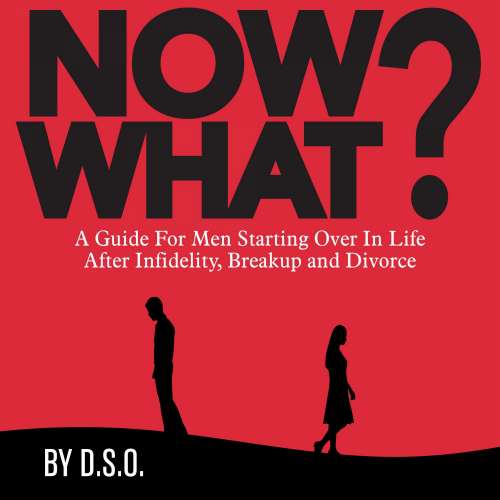 Cover von DSO - NOW WHAT? - A Guide for Men Starting Over in Life After Infidelity, Breakup and Divorce