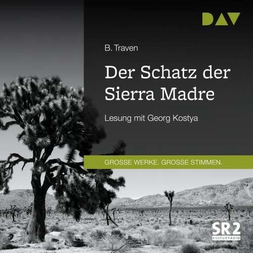 Cover von Der Schatz der Sierra Madre - Der Schatz der Sierra Madre
