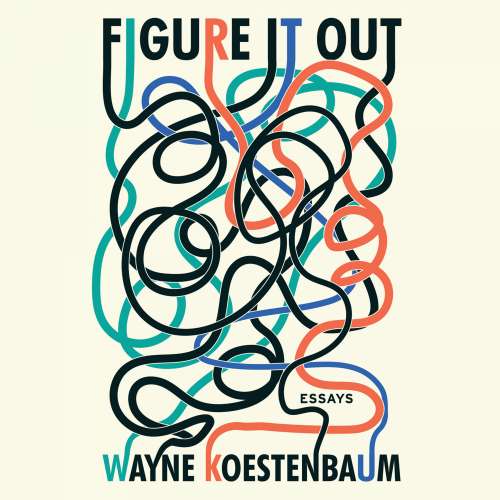 Cover von Wayne Koestenbaum - Figure it Out - Essays