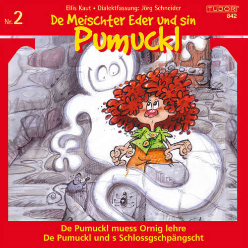 Cover von Various Artists - De Meischter Eder und sin Pumuckl, Vol. 2