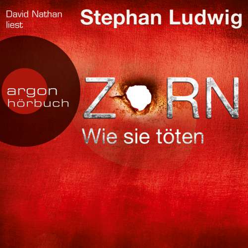 Cover von Stephan Ludwig - Zorn - Wie sie töten