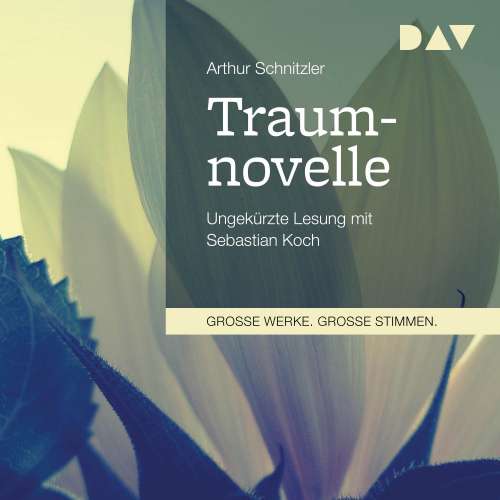 Cover von Arthur Schnitzler - Traumnovelle