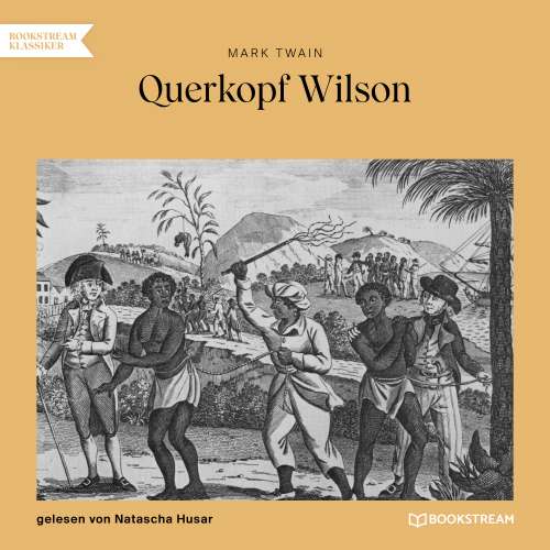 Cover von Mark Twain - Querkopf Wilson