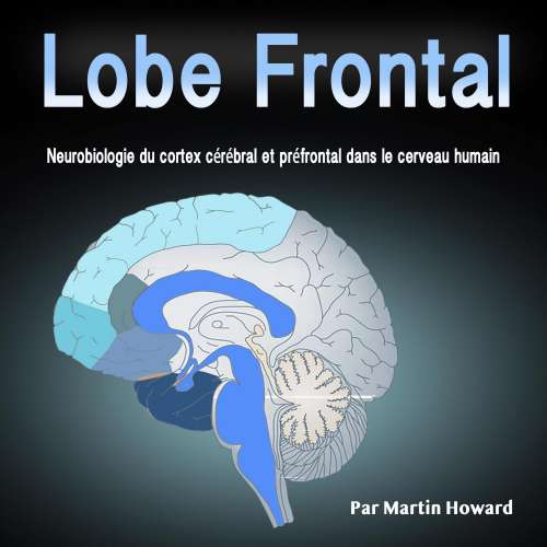 Cover von Lobe Frontal - Lobe Frontal - Neurobiologie du cortex cérébral et préfrontal dans le cerveau humain