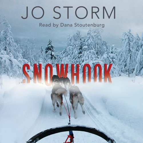 Cover von Jo Storm - Snowhook