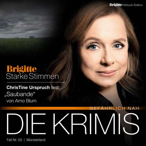 Cover von Arne Blum - Starke Stimmen - "Die Krimis - Gefährlich nah" - Saubande