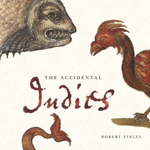 Cover von Robert Finley - The Accidental Indies