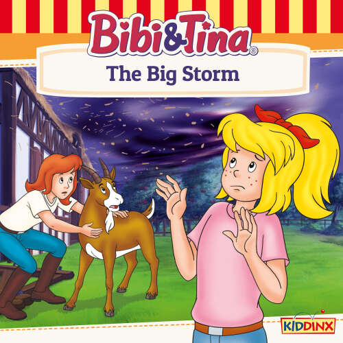 Cover von Bibi and Tina - The Big Storm