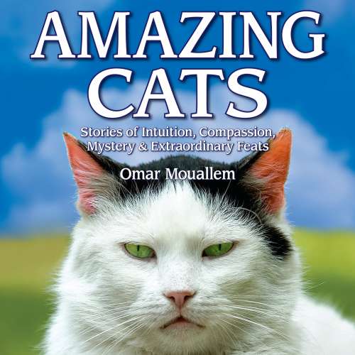 Cover von Omar Mouellam - Amazing Cats - Stories of Intuition, Compassion, Mystery & Extraordinary Feats