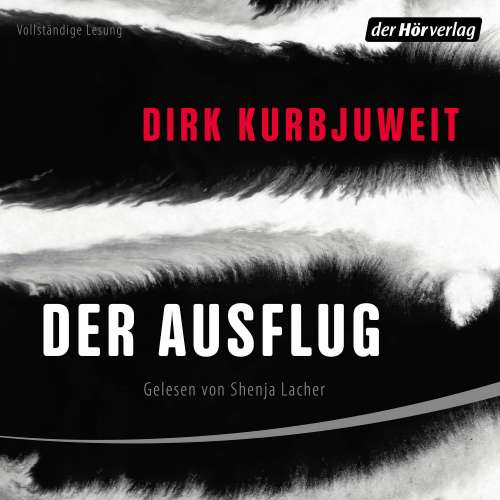 Cover von Dirk Kurbjuweit - Der Ausflug