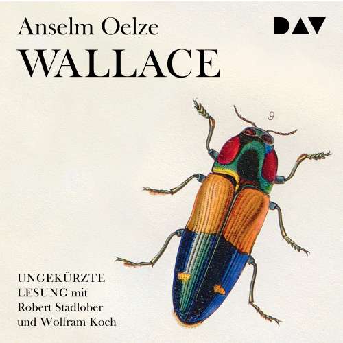 Cover von Anselm Olze - Wallace