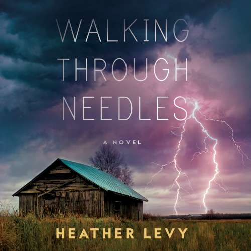 Cover von Heather Levy - Walking Through Needles