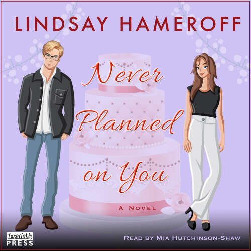 Cover - Lindsay Hameroff - Never Planned on You - A Novel