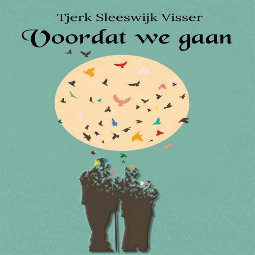 Cover von Tjerk Sleeswijk Visser - Voordat we gaan