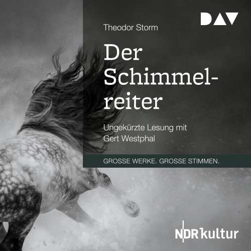 Cover von Theodor Storm - Der Schimmelreiter