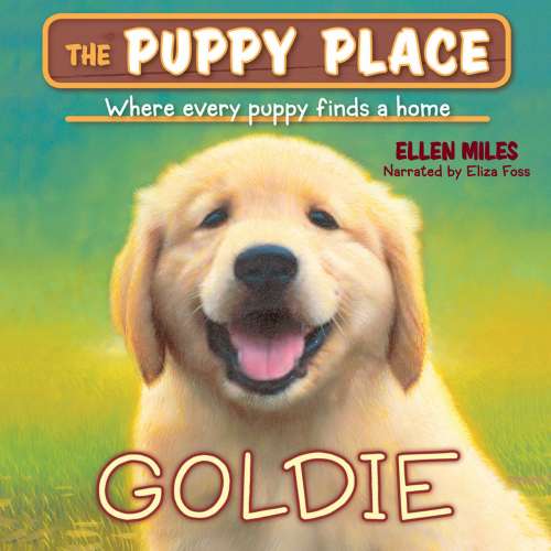 Cover von Ellen Miles - Puppy Place 1 - Goldie
