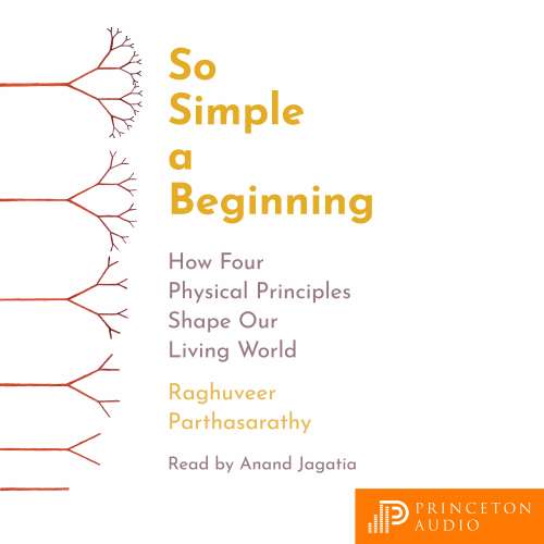 Cover von Raghuveer Parthasarathy - So Simple a Beginning - How Four Physical Principles Shape Our Living World