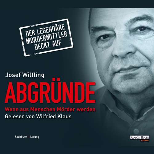 Cover von Wilfried Klaus - Abgründe