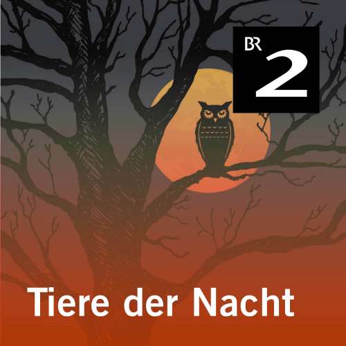 Cover von Silke Wolfrum - Tiere der Nacht