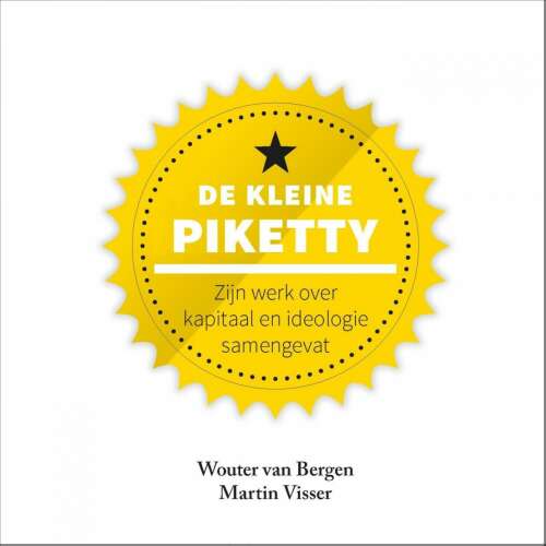 Cover von Martin Visser - De kleine Piketty