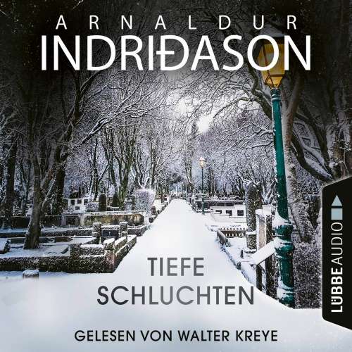 Cover von Arnaldur Indriðason - Tiefe Schluchten