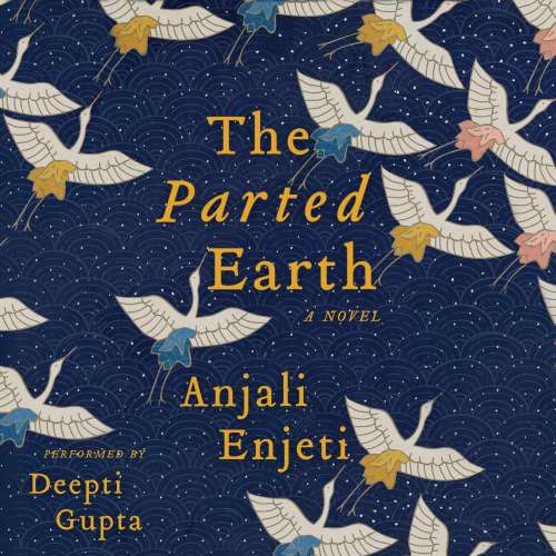 Cover von Anjali Enjeti - The Parted Earth