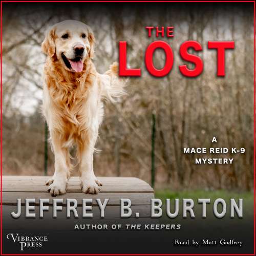 Cover von Jeffrey B. Burton - 9 Mystery - Book 3 - The Lost - A Mace Reid K