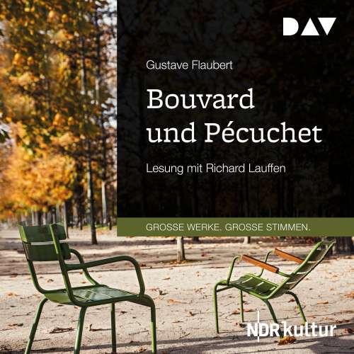 Cover von Gustav Flaubert - Bouvard und Pécuchet