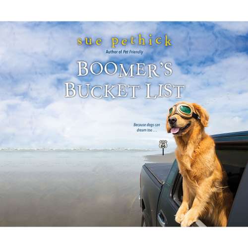 Cover von Sue Pethick - Boomer's Bucket List