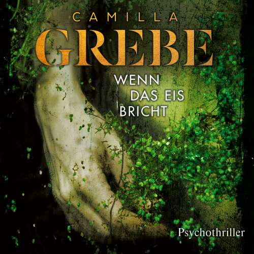 Cover von Camilla Grebe - Die Profilerin - Band 1 - Wenn das Eis bricht