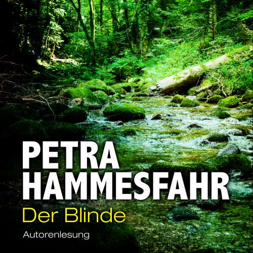 Cover von Petra Hammesfahr - Die Freundin - Erzählungen - Teil 3 - Der Blinde
