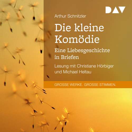 Cover von Arthur Schnitzler - Die kleine Komödie. Eine Liebesgeschichte in Briefen