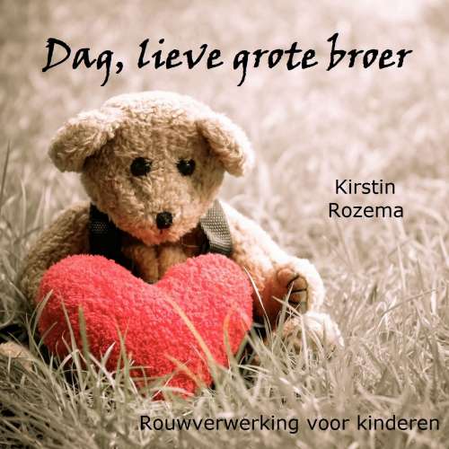 Cover von Kirstin Rozema - Dag lieve grote broer - Rouwverwerking voor kinderen