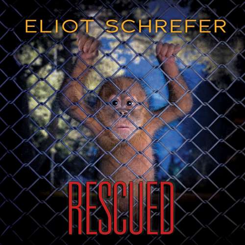 Cover von Eliot Schrefer - Ape Quartet 3 - Rescued