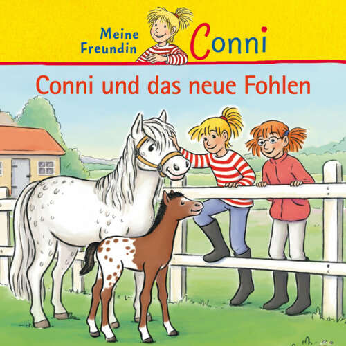 Cover von Conni - Conni und das neue Fohlen