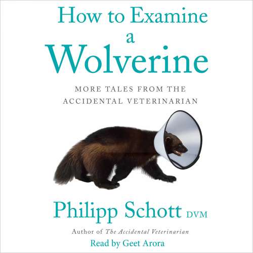 Cover von How to Examine a Wolverine - How to Examine a Wolverine - More Tales from the Accidental Veterinarian