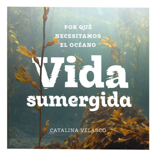 Cover - Catalina Velasco - Vida sumergida