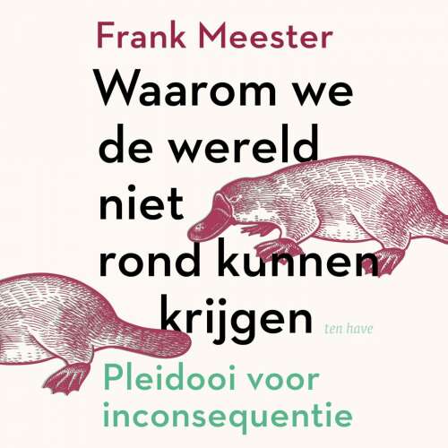 Cover von Frank Meester - Waarom we de wereld niet rond kunnen krijgen - Pleidooi voor inconsequentie